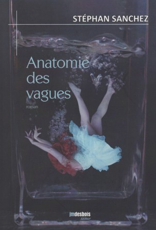 Anatomie des vagues